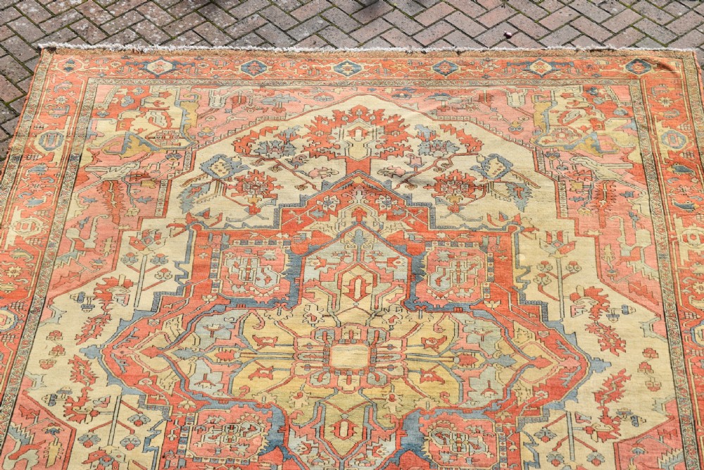 An exceptional antique Serapi carpet 345x290cm View VIII