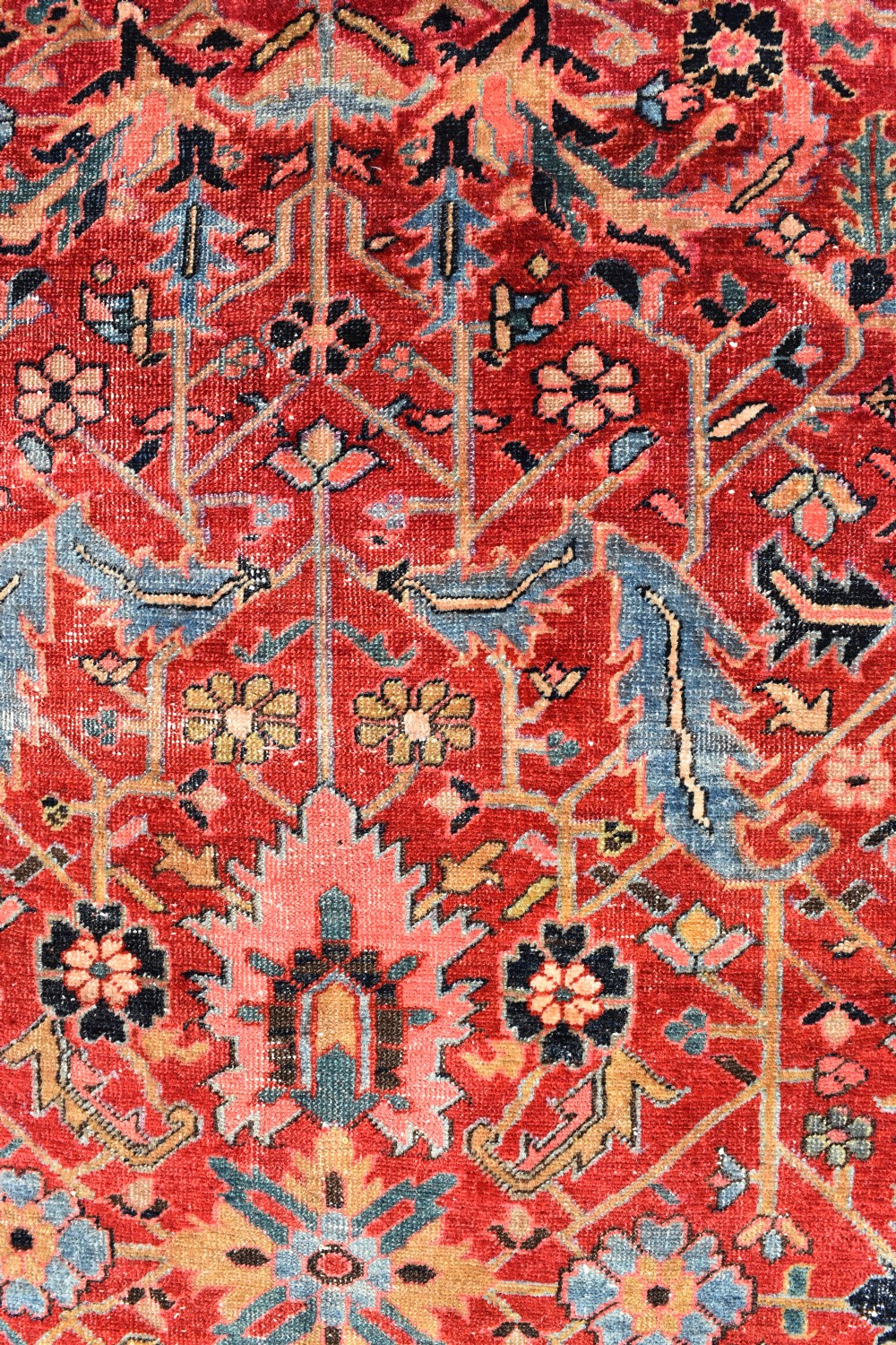 An antique Small roomsize Heriz carpet with allover design 283x184cm View VI
