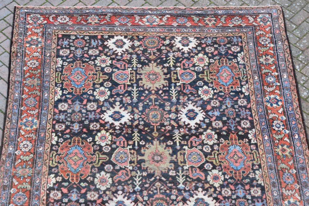 A large rectangular hand-knotted wool carpet featuring a dark navy central field filled with geometric floral motifs and framed by a wide terracotta border. View VII