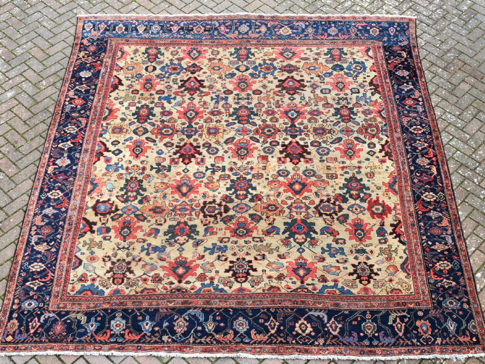 A large square hand-knotted antique Ferahan wool carpet featuring an all-over repeating geometric and floral pattern on a cream field, framed by a wide navy blue border.