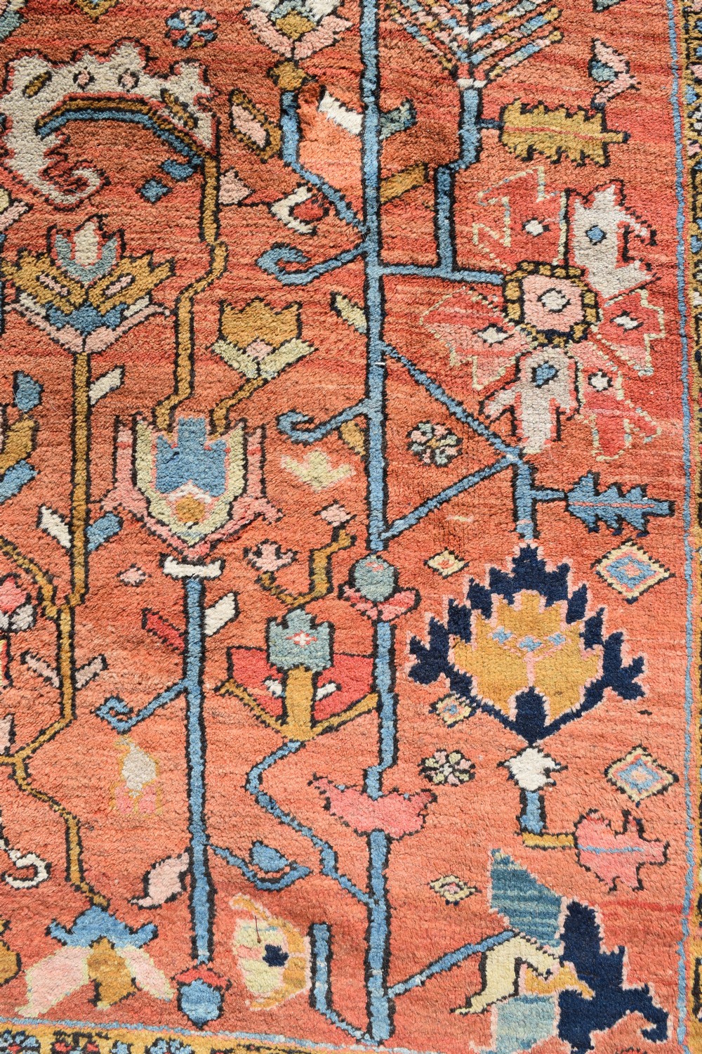 Antique Heriz roomsize carpet 230x216 cm View II