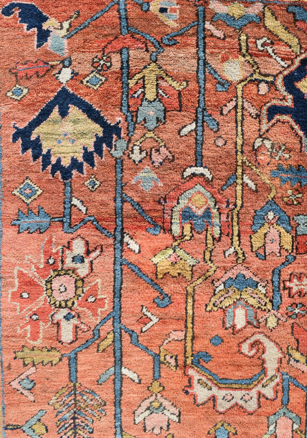 Antique Heriz roomsize carpet 230x216 cm View III