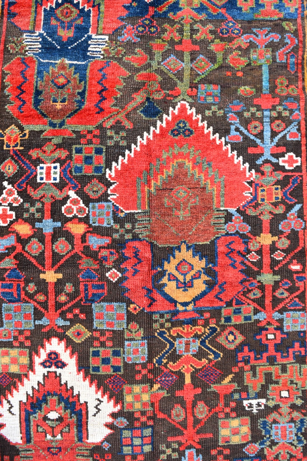 Rare Kurdish Saug Bulak rug 239x122cm View II