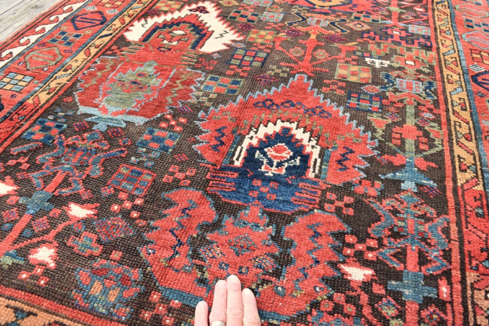 Rare Kurdish Saug Bulak rug 239x122cm View III