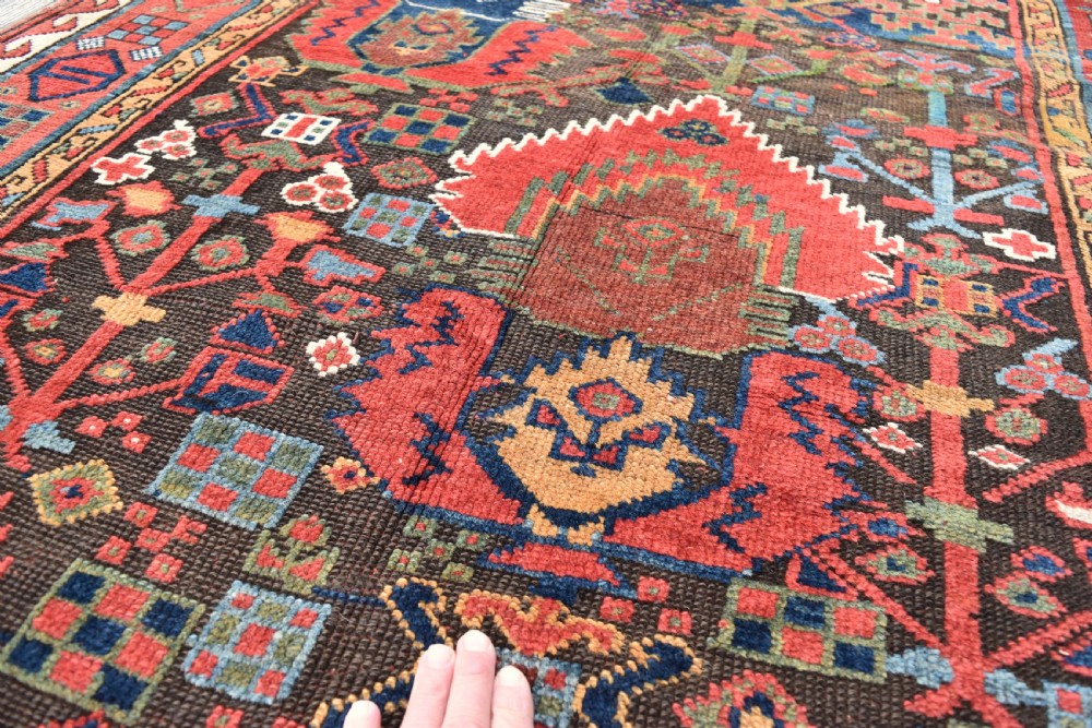 Rare Kurdish Saug Bulak rug 239x122cm View VI