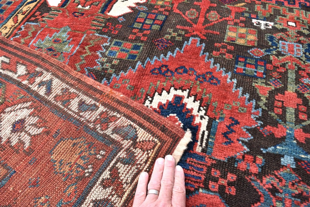 Rare Kurdish Saug Bulak rug 239x122cm View VII
