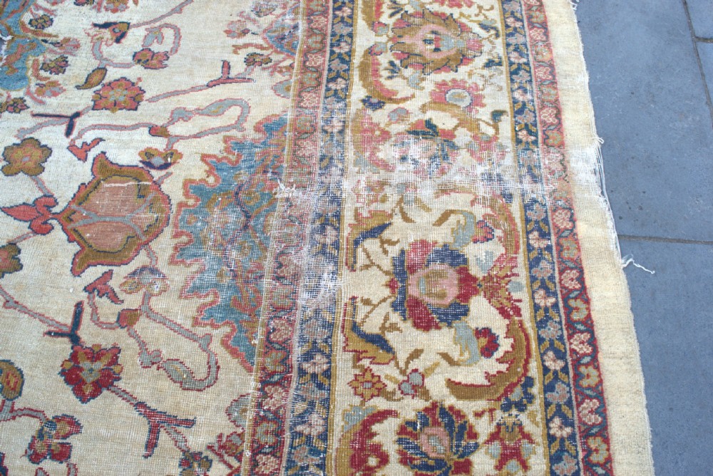 Massive Ziegler carpet 610x 313 cm View VI