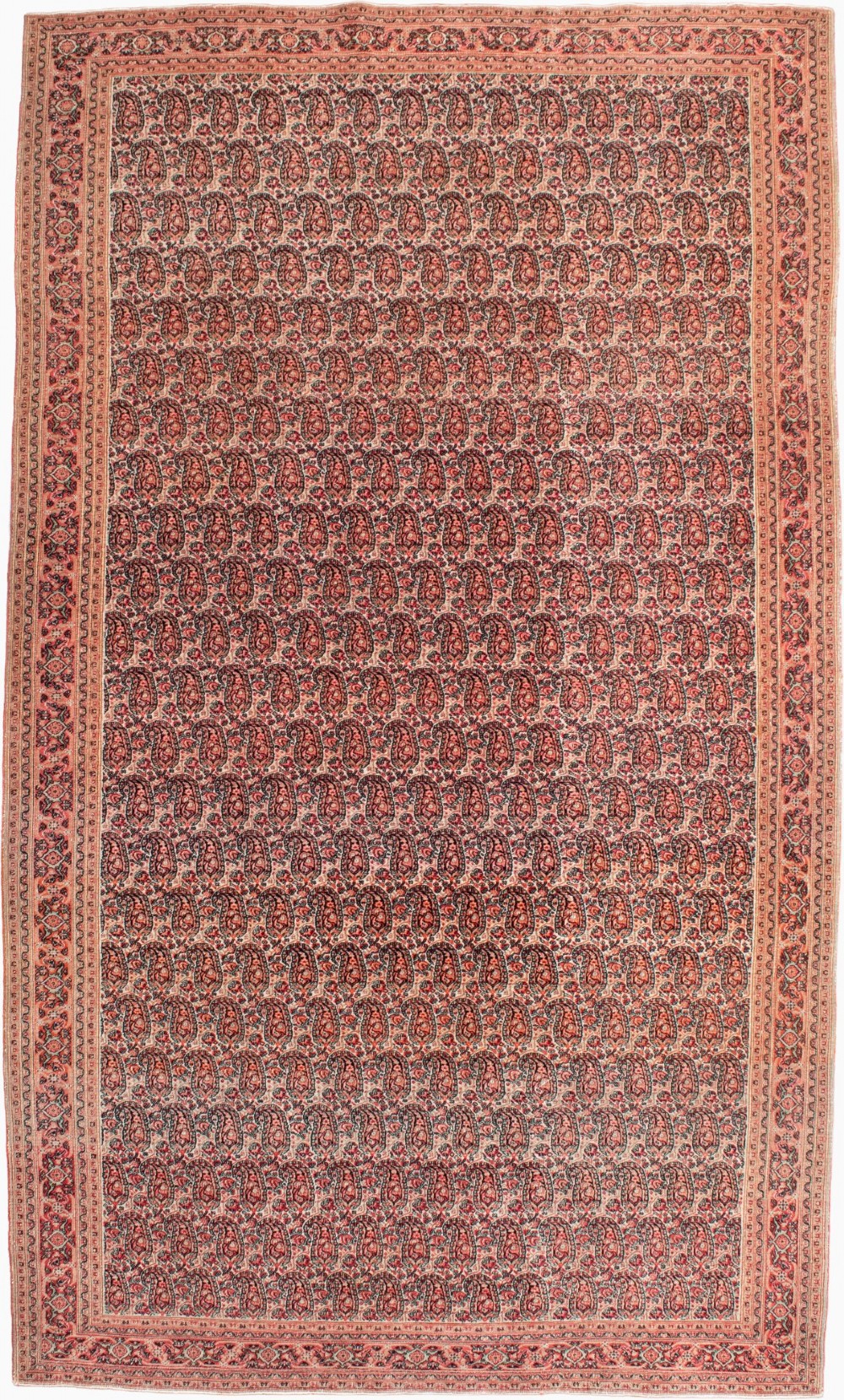 A rectangular hand-knotted Persian Dorush carpet featuring an all-over repeating boteh pattern in terracotta red and cream with multi-tiered borders.