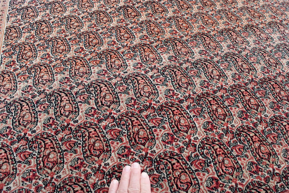 A rectangular hand-knotted Persian Dorush carpet featuring an all-over repeating boteh pattern in terracotta red and cream with multi-tiered borders. View V