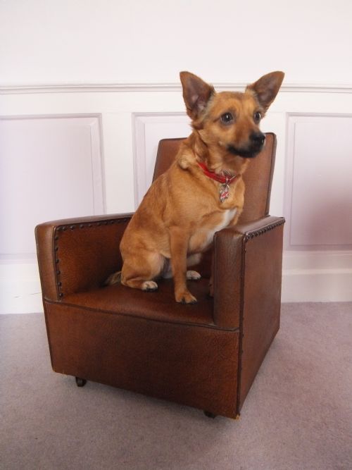 Childs Art Deco 1930s Rexine Upholstered Armchair with Studded Decoration