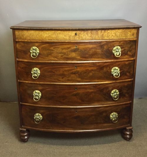 Unusual Regency Mahogany & Burr Elm Bowfront Chest of Drawers