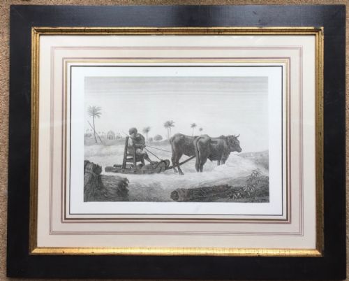 fig 4. 12 Engravings from Description de L'Egypt' after Conte circa 1810