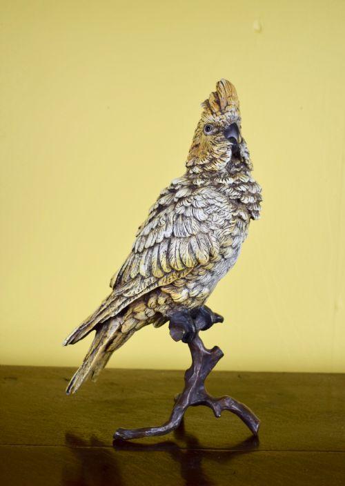 Large Austrian Cold Painted Bronze Cockatoo Parrot by Franz Bergman