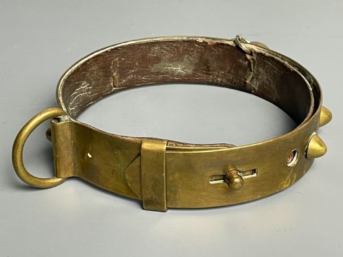 Antique Solid Brass Dog Collar with Stud Detailing