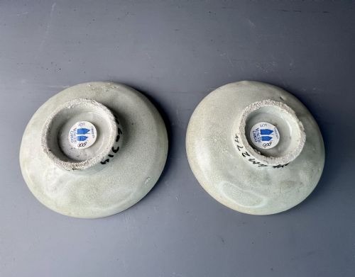 fig 1. A pair of circular Chinese porcelain dishes featuring underglaze blue brushwork with visible surface seawater degradation and marine encrustations.
