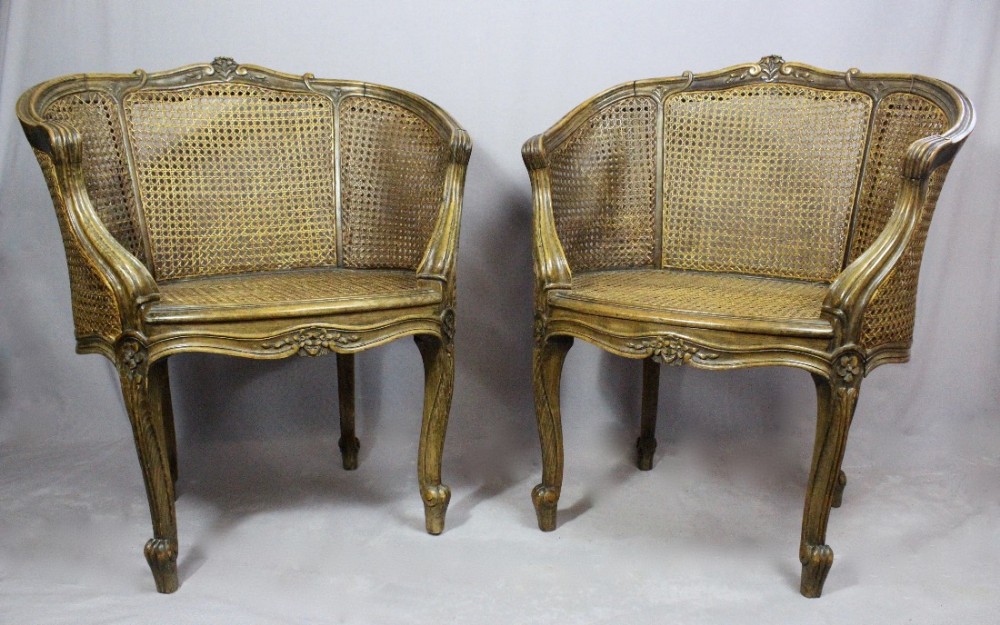 Pair of Louis XV Style Bergere Tub Chairs