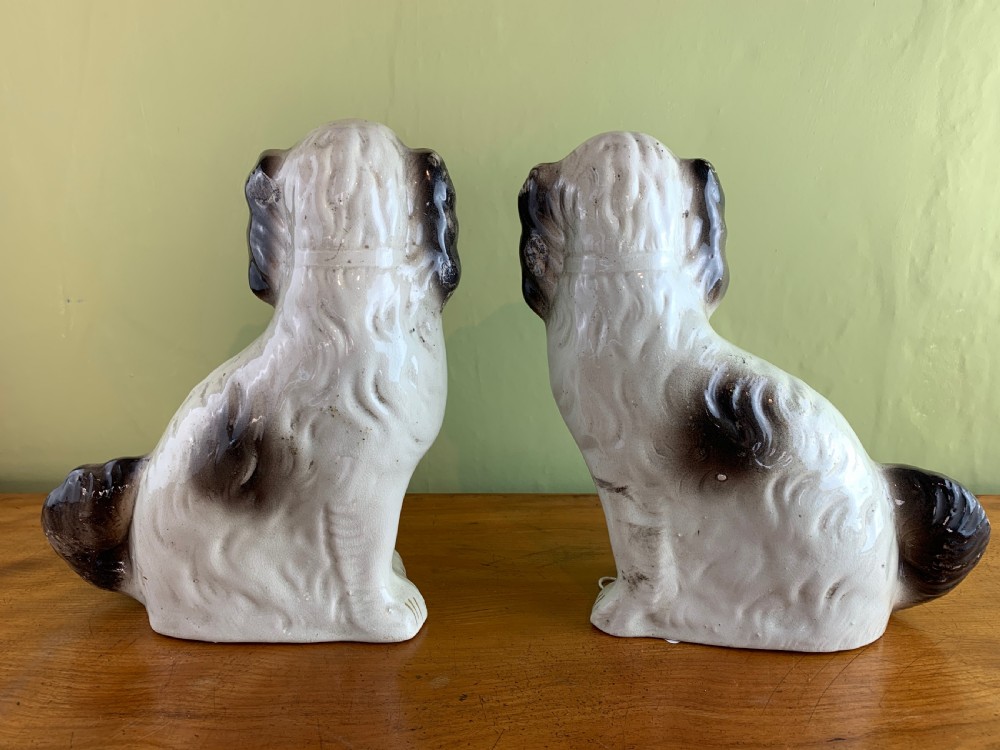 Pair of Victorian black and white Staffordshire pottery dogs. View V