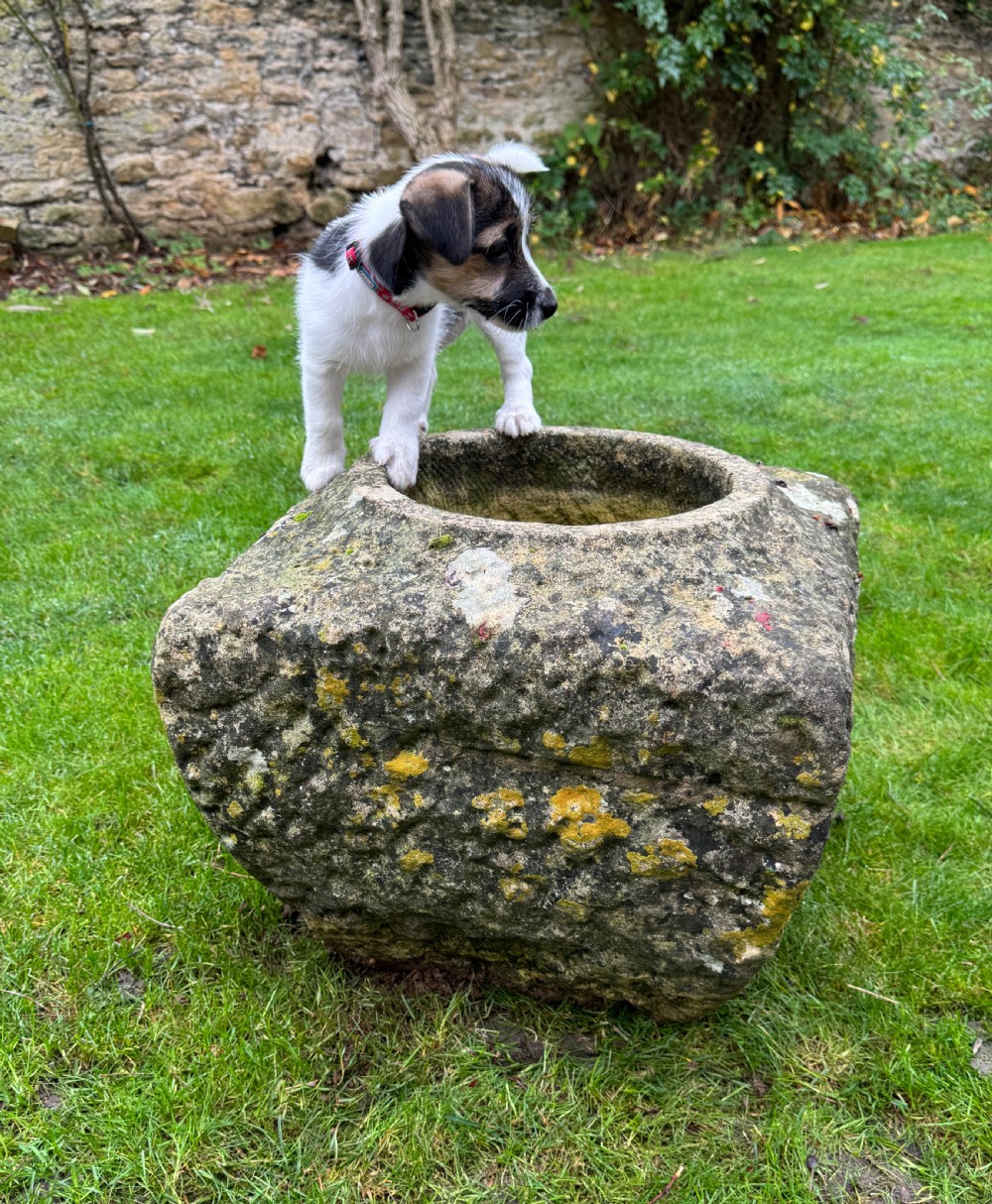 A square carved weathered stone planter with a circular central recess and rusticated hand-chiselled exterior surfaces displaying natural moss growth. View III