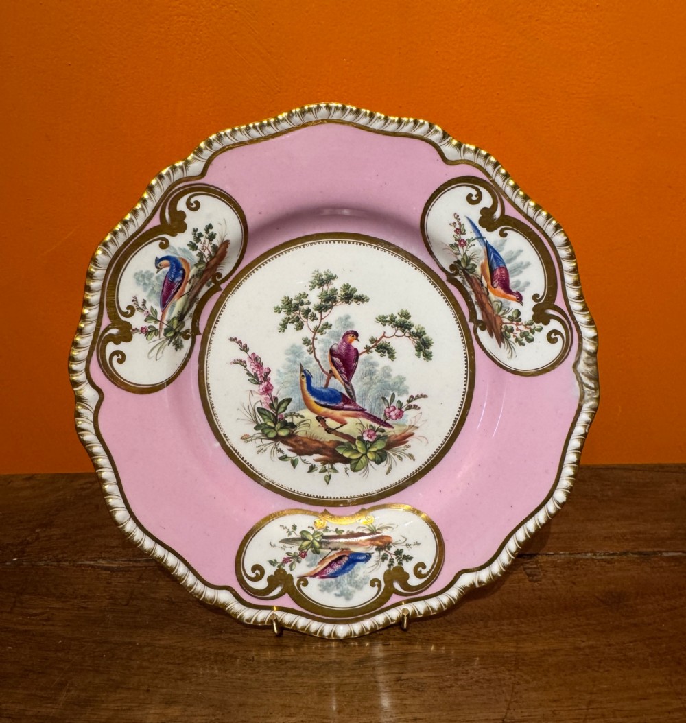 An antique English porcelain cabinet plate with a pink border, gilded scrollwork, three bird-painted cartouches, and a central scene of exotic birds on branches.