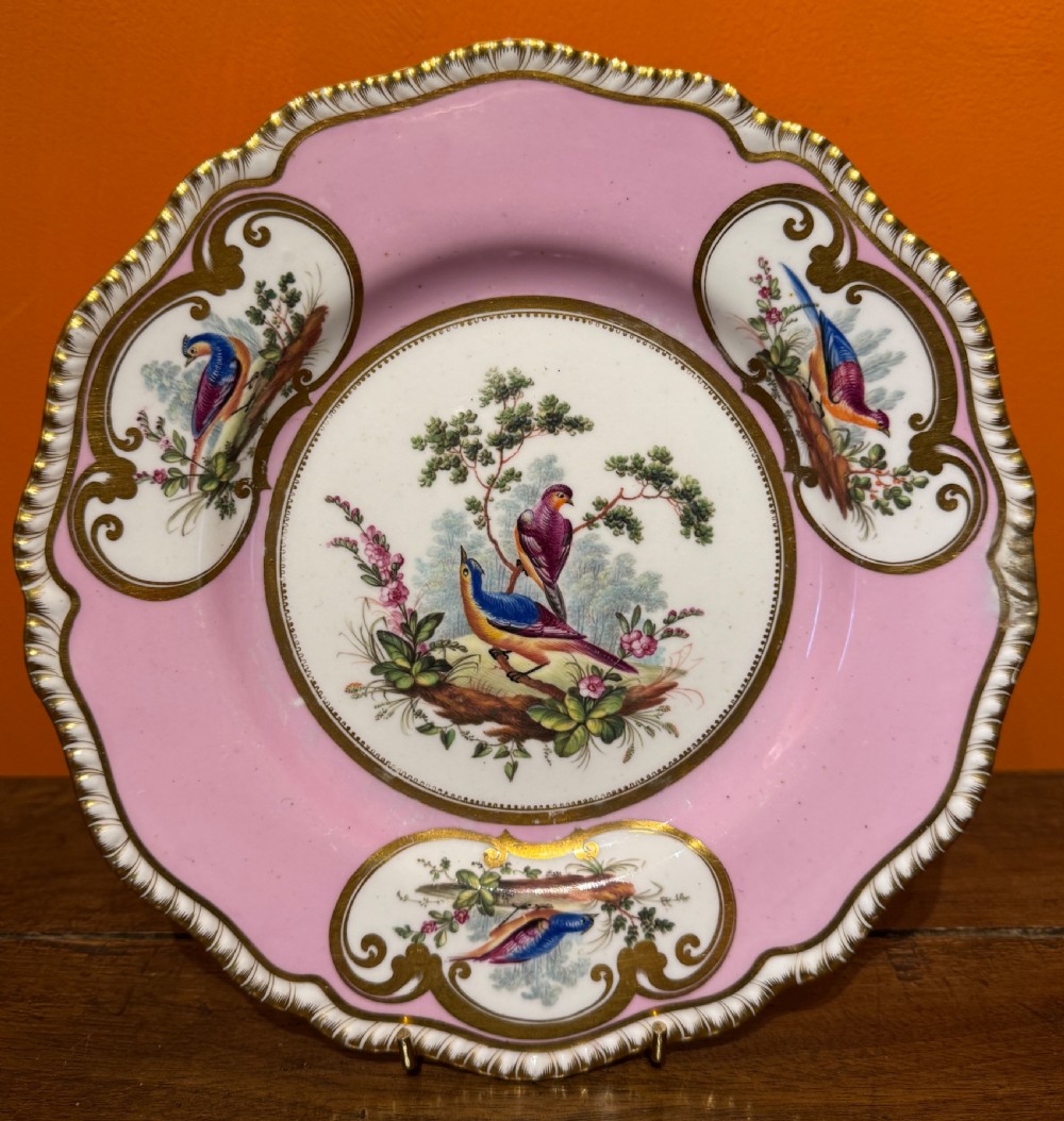 An antique English porcelain cabinet plate with a pink border, gilded scrollwork, three bird-painted cartouches, and a central scene of exotic birds on branches. View II