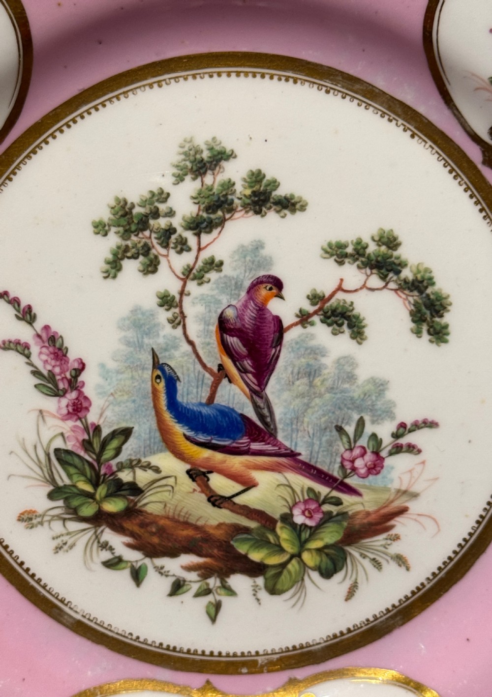 An antique English porcelain cabinet plate with a pink border, gilded scrollwork, three bird-painted cartouches, and a central scene of exotic birds on branches. View III