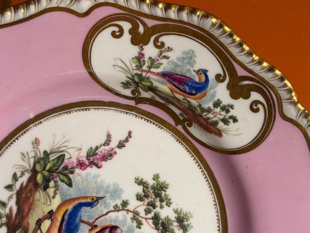 An antique English porcelain cabinet plate with a pink border, gilded scrollwork, three bird-painted cartouches, and a central scene of exotic birds on branches. View IV