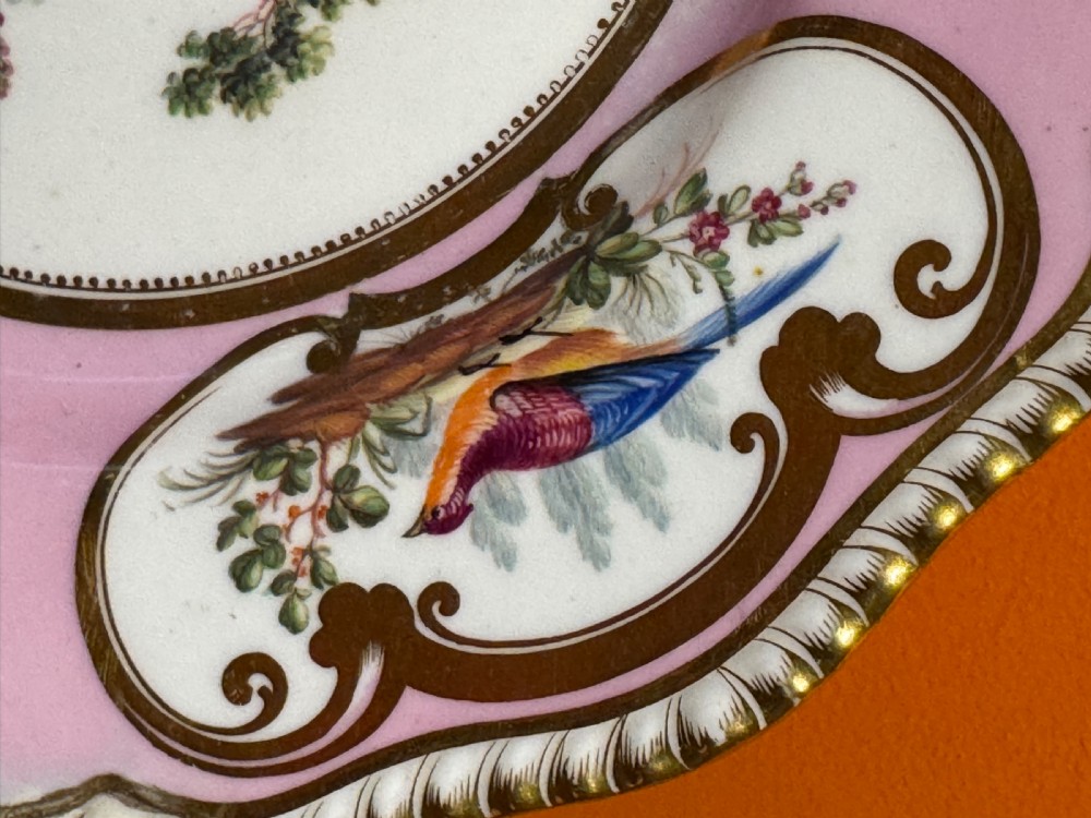 An antique English porcelain cabinet plate with a pink border, gilded scrollwork, three bird-painted cartouches, and a central scene of exotic birds on branches. View VI
