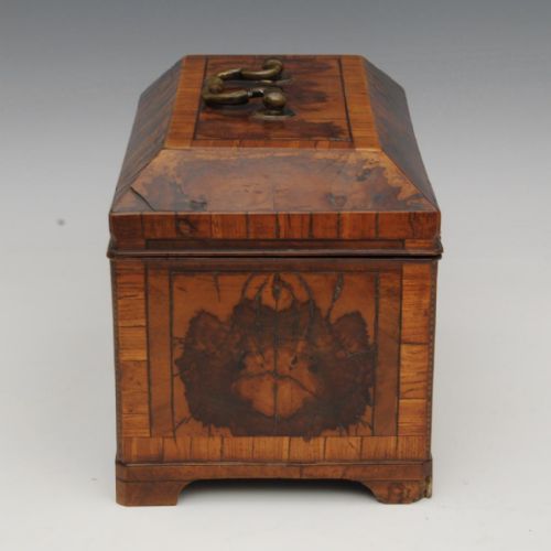 A RARE 18TH CENTURY BURR THORN WOOD TEA CADDY - ADDITIONAL PHOTO 2