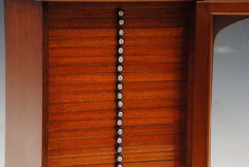 SUPERB 19TH CENTURY MICROSCOPE SLIDE CABINET AND 280 SLIDES - ADDITIONAL PHOTO 1