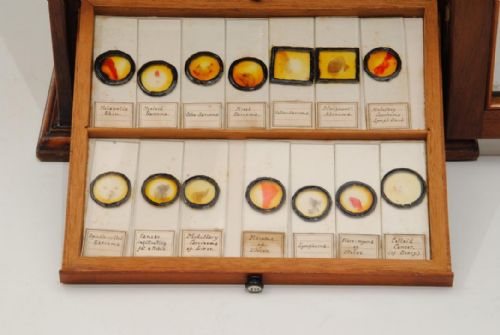 SUPERB 19TH CENTURY MICROSCOPE SLIDE CABINET AND 280 SLIDES - ADDITIONAL PHOTO 3