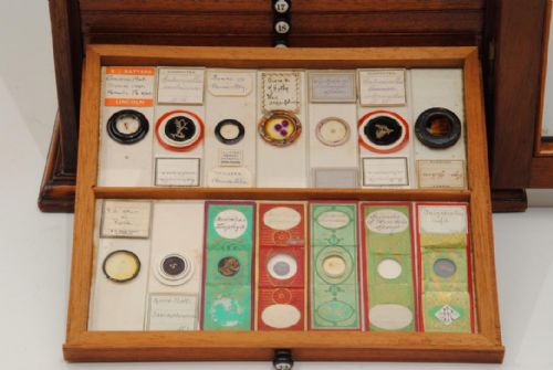 SUPERB 19TH CENTURY MICROSCOPE SLIDE CABINET AND 280 SLIDES - ADDITIONAL PHOTO 4