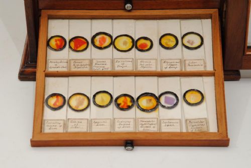 SUPERB 19TH CENTURY MICROSCOPE SLIDE CABINET AND 280 SLIDES - ADDITIONAL PHOTO 5