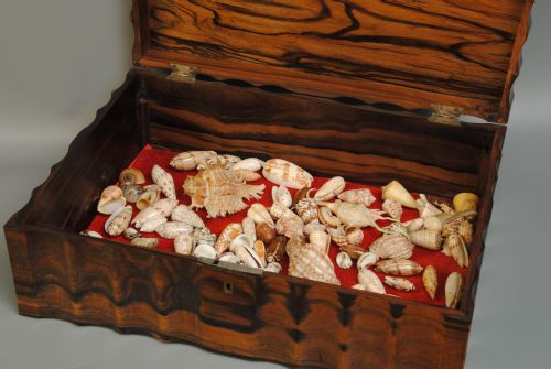 A FINE ANGLO INDIAN COROMANDEL WORKBOX - ADDITIONAL PHOTO 4