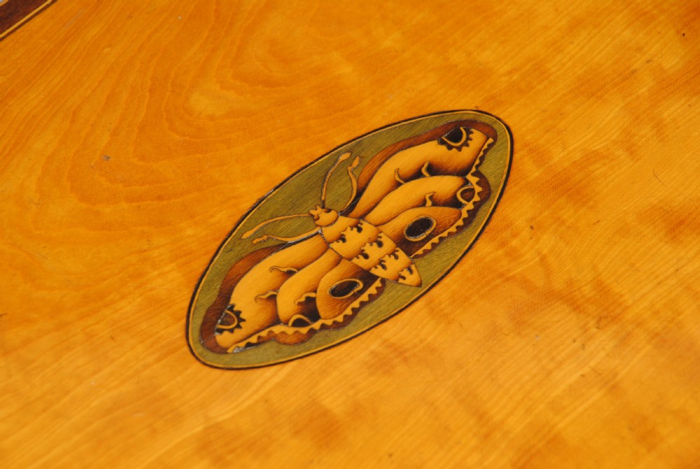 A REGENCY SATINWOOD INLAID WRITING BOX View III