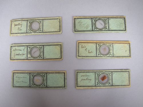 fig 1. French Brass Field Microscope With Original Box & Slides, c.1880-90.