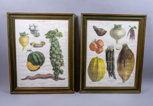 Pair of Vilmorin Andrieux, Paris Framed Prints - No. 12 (1869) & No. 15 (1864)