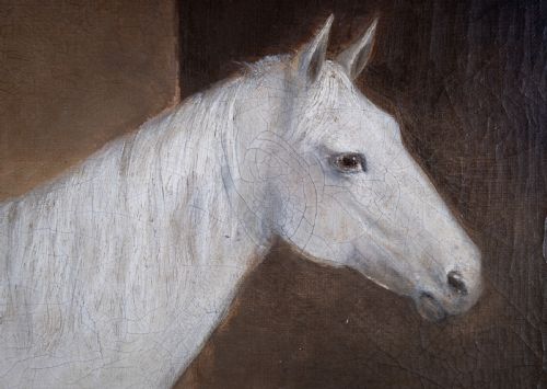 R COOPER 1849 PORTRAIT OF A WHITE HORSE IN STABLE SIGNED DATED OIL ON CANVAS - ADDITIONAL PHOTO 2