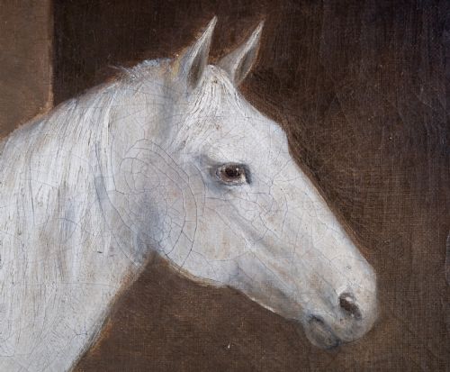 R COOPER 1849 PORTRAIT OF A WHITE HORSE IN STABLE SIGNED DATED OIL ON CANVAS - ADDITIONAL PHOTO 4