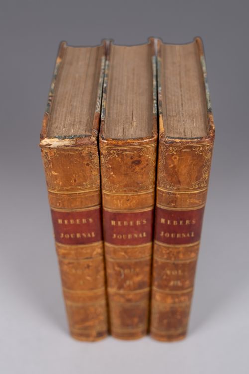 1828 JOURNEY THROUGH UPPER PROVINCES OF INDIA BY REGINALD HEBER 3 BOOK SET - ADDITIONAL PHOTO 2