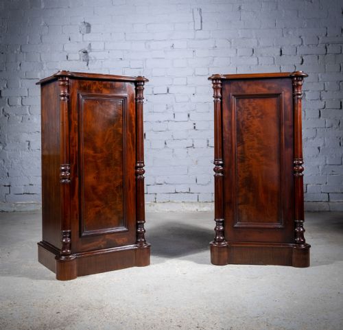PAIR OF 19TH CENTURY MAHOGANY PEDESTAL CUPBOARDS - ADDITIONAL PHOTO 1