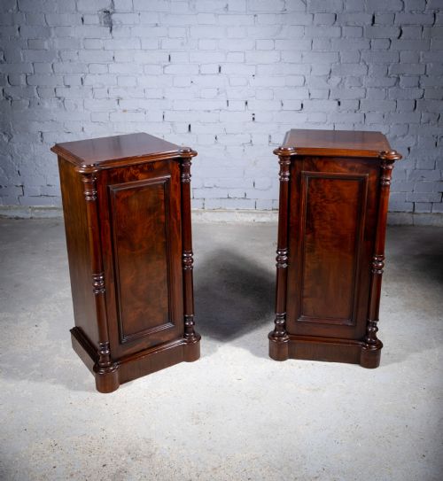 PAIR OF 19TH CENTURY MAHOGANY PEDESTAL CUPBOARDS - ADDITIONAL PHOTO 2