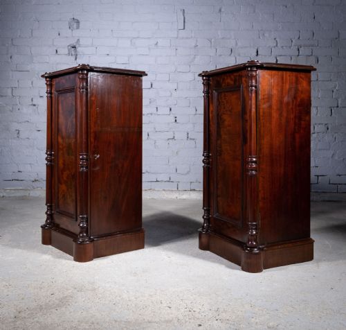 PAIR OF 19TH CENTURY MAHOGANY PEDESTAL CUPBOARDS - ADDITIONAL PHOTO 3