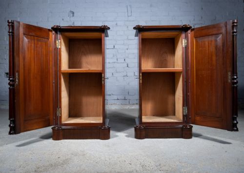 PAIR OF 19TH CENTURY MAHOGANY PEDESTAL CUPBOARDS - ADDITIONAL PHOTO 4