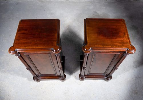 PAIR OF 19TH CENTURY MAHOGANY PEDESTAL CUPBOARDS - ADDITIONAL PHOTO 7