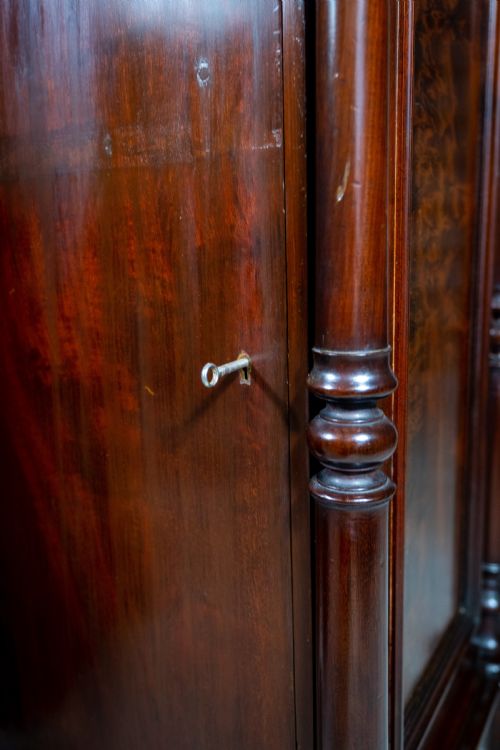PAIR OF 19TH CENTURY MAHOGANY PEDESTAL CUPBOARDS - ADDITIONAL PHOTO 8