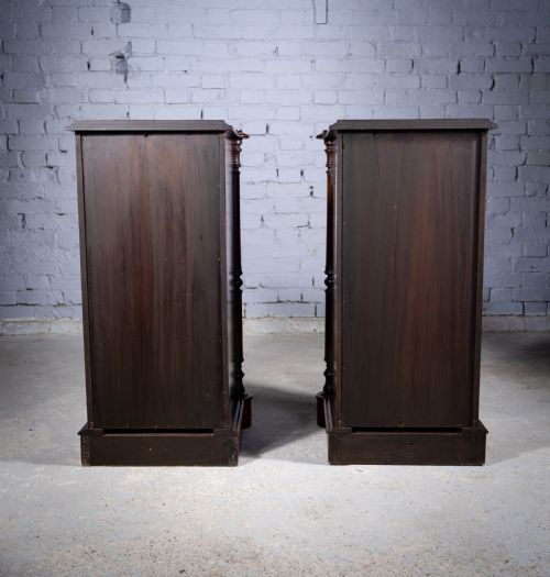 PAIR OF 19TH CENTURY MAHOGANY PEDESTAL CUPBOARDS - ADDITIONAL PHOTO 10