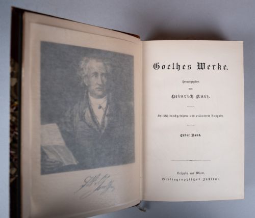 GOETHES WERKE GOETHE'S WORK BY JOHANN WOLFGANG VON GOETHE 12 BOOK SET - ADDITIONAL PHOTO 5