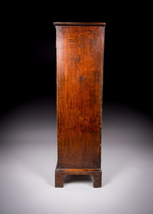 18TH CENTURY CONTINENTAL FRUITWOOD CABINET CUPBOARD - ADDITIONAL PHOTO 9