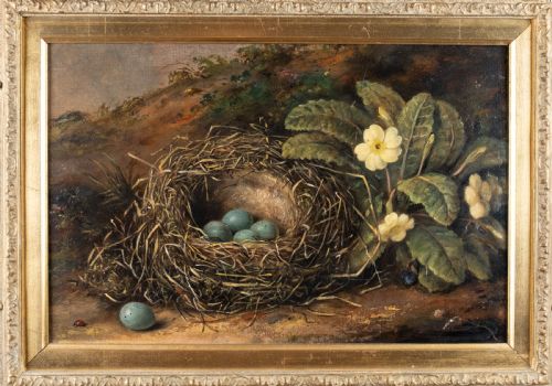 FANNY WYCLIFFE GOODWIN FL18401850 BIRD'S NEST PRIMROSE OIL ON BOARD - ADDITIONAL PHOTO 1