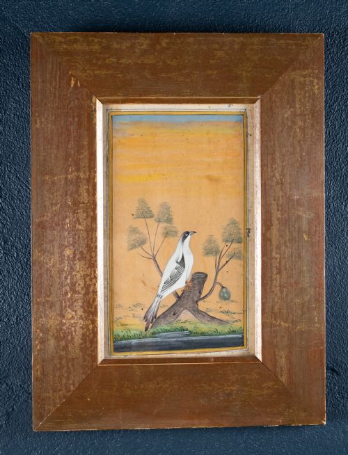 19TH CENTURY MUGHAL SCHOOL BIRD AND TREE SIGNED WATERCOLOUR - ADDITIONAL PHOTO 4